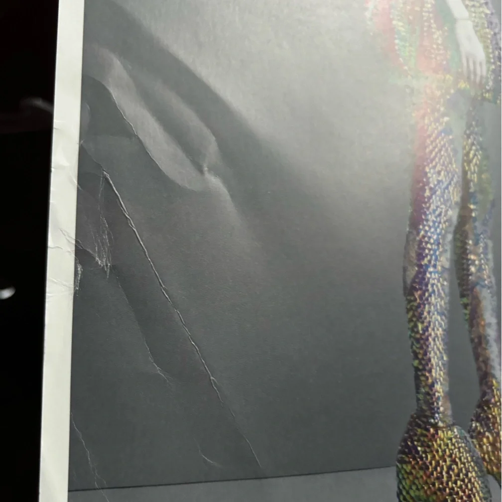 Alexander McQueen Savage Beauty 2011 Coffee Table Book - Picture 9 of 12